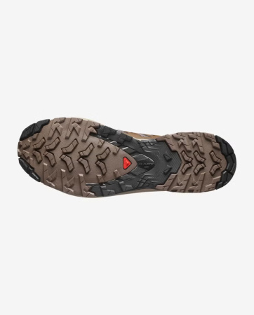 Кроссовки XA PRO 3D v9 (RU 45 UK 11 USm 11.5 СМ 29; falcon/desert tan/black)